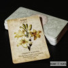 БОТАНІЧНЕ ТАРО Botanical Inspirations