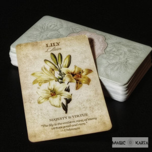 БОТАНІЧНЕ ТАРО Botanical Inspirations. Photo 3